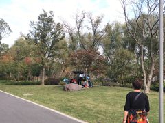 -昆山城市生态森林公园