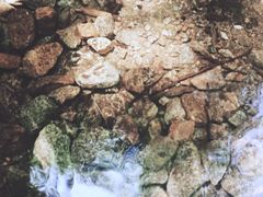 -青峰峡国家森林公园