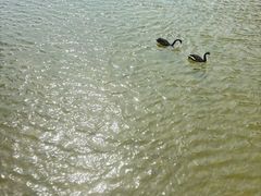 -京东石林峡风景区