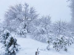 -四明山国家森林公园