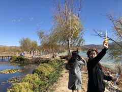 -大理洱源西湖景区