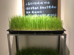 -朵朵开素食餐厅(后宰门街店)