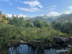 -腾冲洞山温泉村