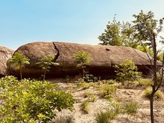 -白水寺森林公园