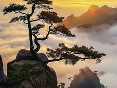 -黄山风景区