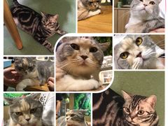 -藦茜花园宠物主题亲子互动体验馆(国顺东路店)