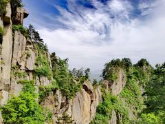 -内乡宝天曼生态旅游区