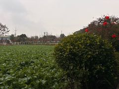 -洪湖家庭农场·团建·露营·会议