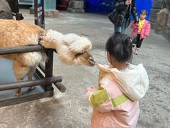 -哈尔滨波塞冬海底世界