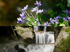 -牛背梁国家森林公园