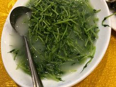 -鸿达渔港