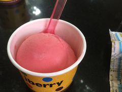 -莓园冰淇淋店