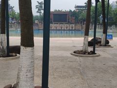 -重庆海昌加勒比海水世界
