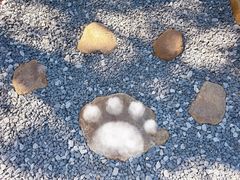 -猫头山