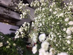 -大蓉和(一品天下店)