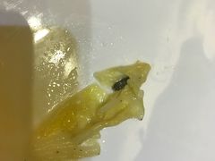 -楚鲜·汉正街一号(天河店)