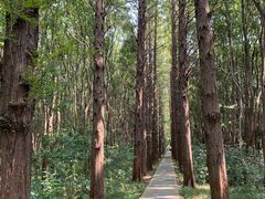 -同里国家湿地公园