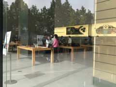 -Apple零售店(华贸购物中心店)