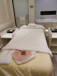 -奥斯芬欧系贵族SPA