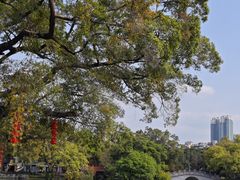 -荔湾湖公园