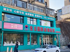 -东日国际动物医院·CT·心脏专科(桃源分院)