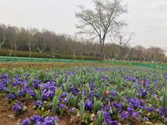 -宜兴龙背山森林公园