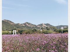 -西海岸生态观光园