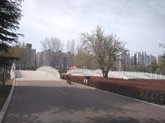 -禹州森林植物园