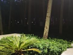 -仁和公园(顺义区)