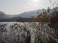 -虎洞山庄食府