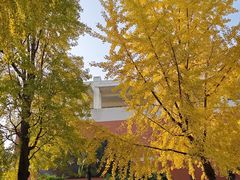 -四川大学(望江校区)