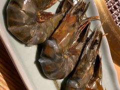 阿根廷红虾-江户烧肉(高德店)