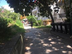 -南丫岛