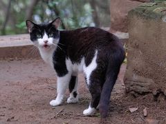 -上海佘山国家森林公园天马山园