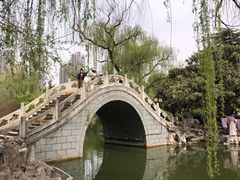-西苑公园