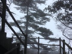 -秦岭天竺山景区