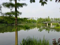 -尚贤河湿地