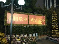 android_upload_pic-西北湖绿化广场