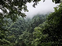 -西岭雪山大飞水景区