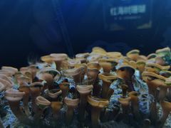 -沈阳海洋探索中心