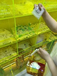 -序言科技美肤中心