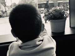 -Jamaicablue Coffeeshop(中央广场店)