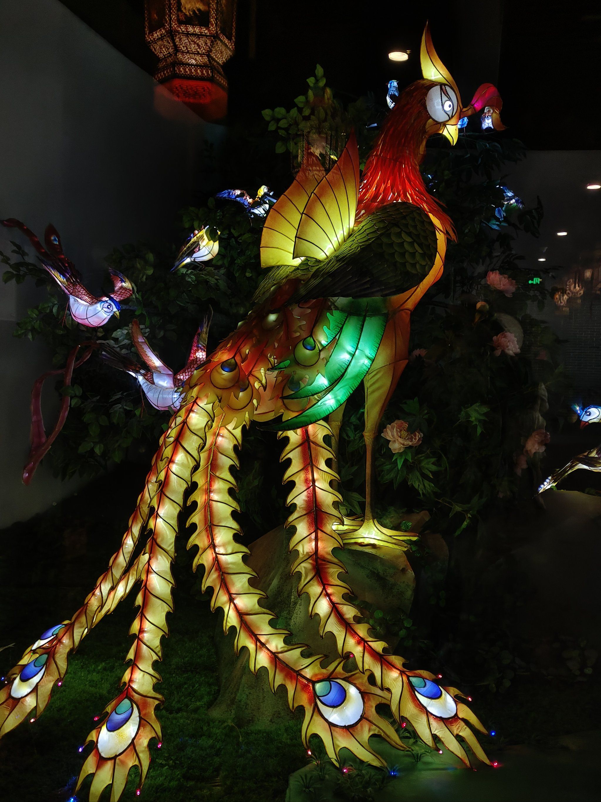 第一眼看👀:孔雀!别人