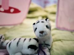 -当代MOMAKIDS托育中心