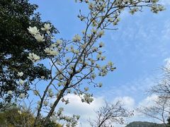 -广州市石门国家森林公园