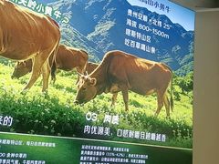 -贵府酸汤牛肉火锅·贵州老字号(飞山街店)