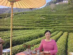 -十八棵（老龙井）御茶园(老龙井店)