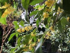 -杭州海华满陇度假酒店