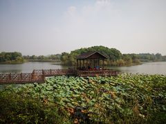 -上海市保健医疗中心(华东疗养院)