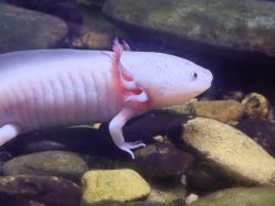 -Zoolung Zoolung动物主题公园(海信广场店)